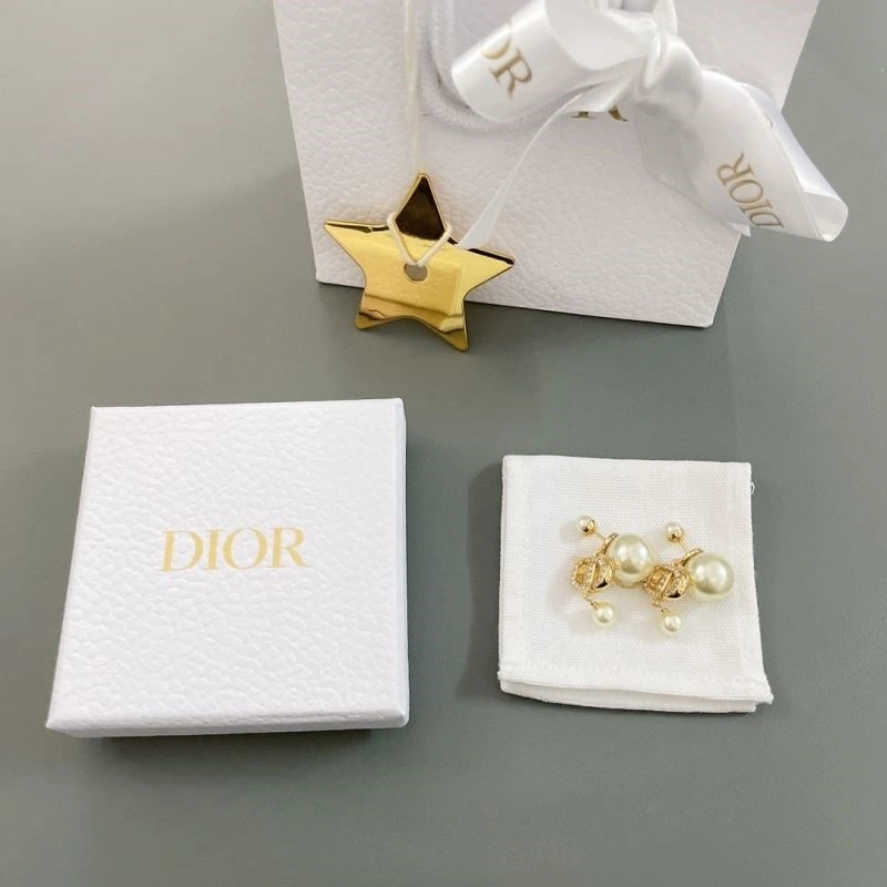 Sophisticated Christian Dior Earrings 233841