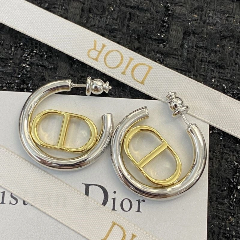 Cozy Christian Dior Earrings 233838