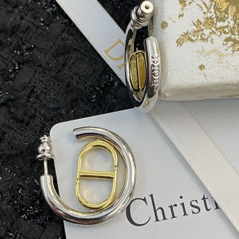 Cozy Christian Dior Earrings 233838