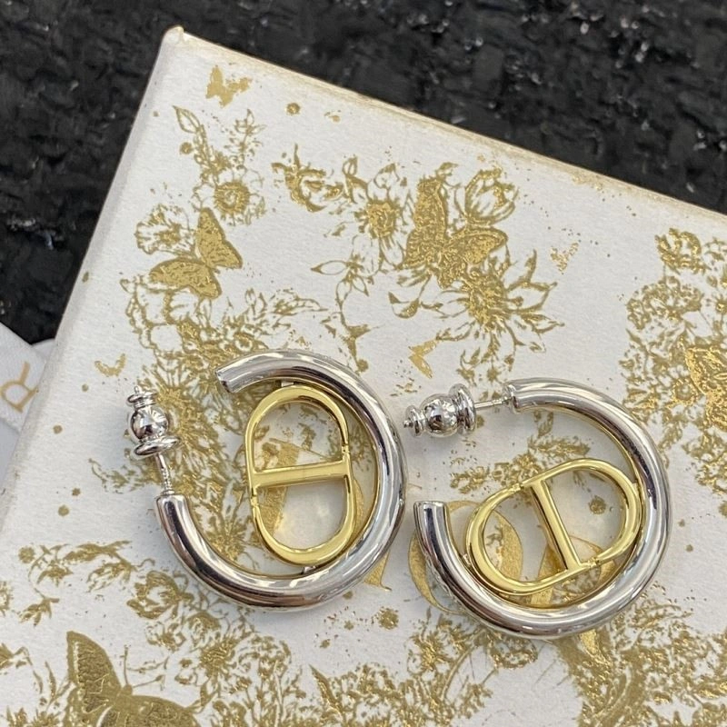 Cozy Christian Dior Earrings 233838