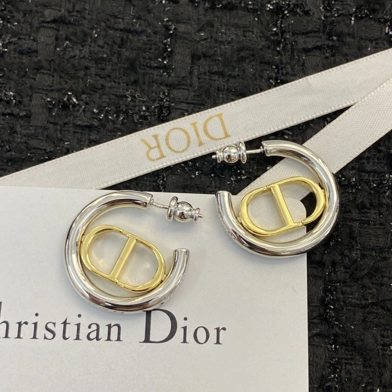 Cozy Christian Dior Earrings 233838
