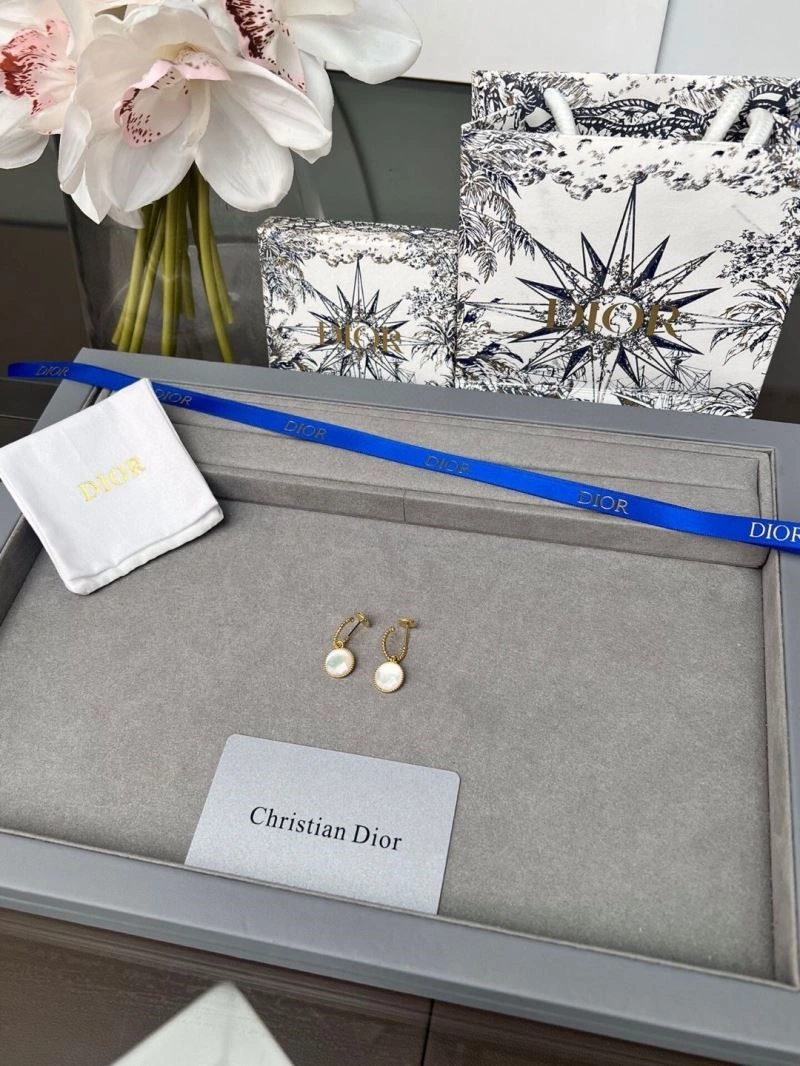 Packable Christian Dior Earrings 233823