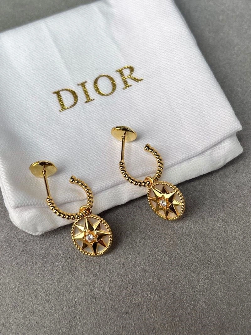 Packable Christian Dior Earrings 233823