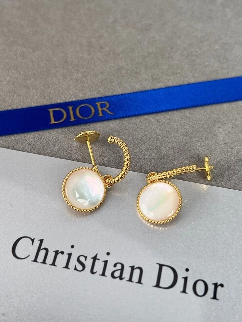 Packable Christian Dior Earrings 233823