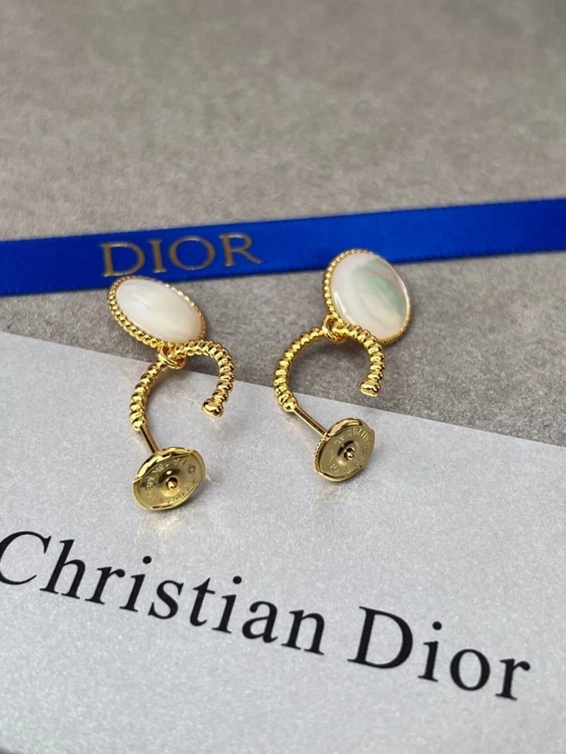 Packable Christian Dior Earrings 233823