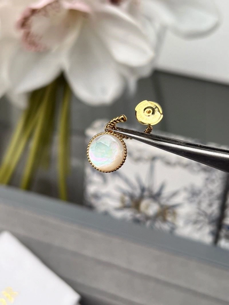 Packable Christian Dior Earrings 233823