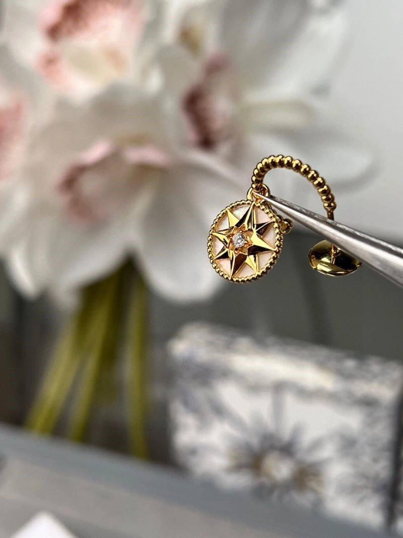 Packable Christian Dior Earrings 233823