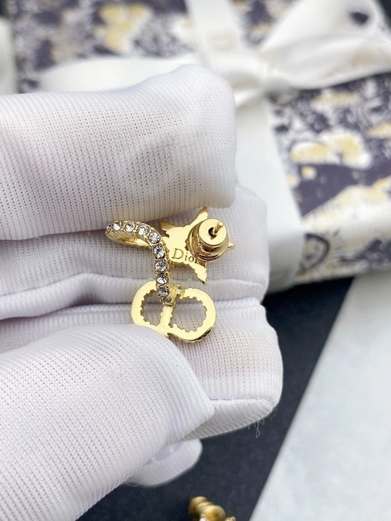 Christian Dior Earrings Modern 233832