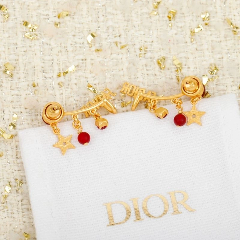 QuickDry Christian Dior Earrings 233615