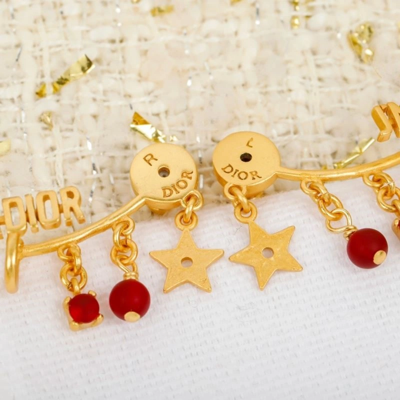 QuickDry Christian Dior Earrings 233615