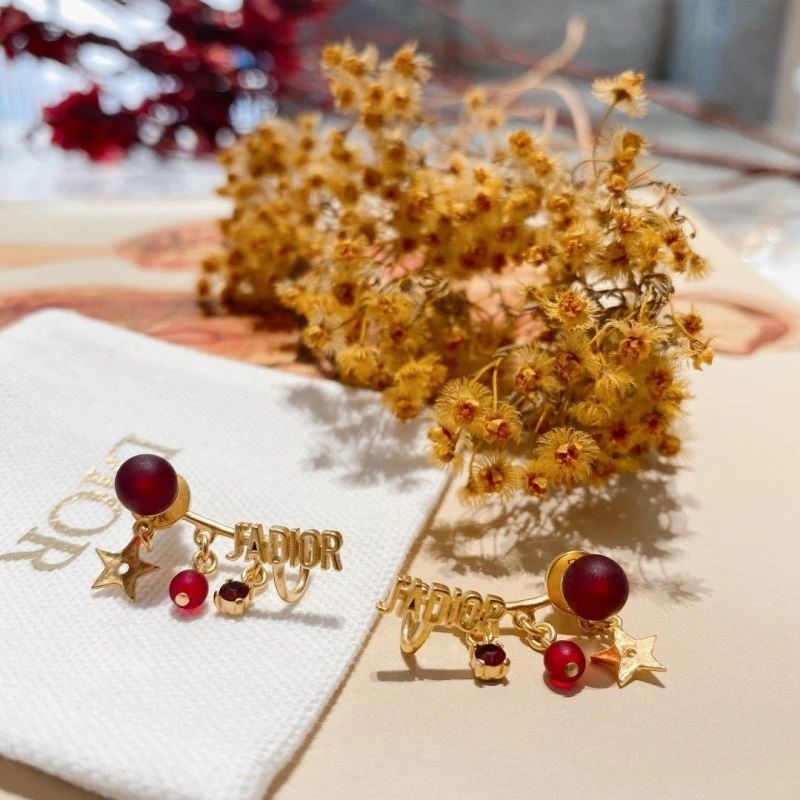 QuickDry Christian Dior Earrings 233615