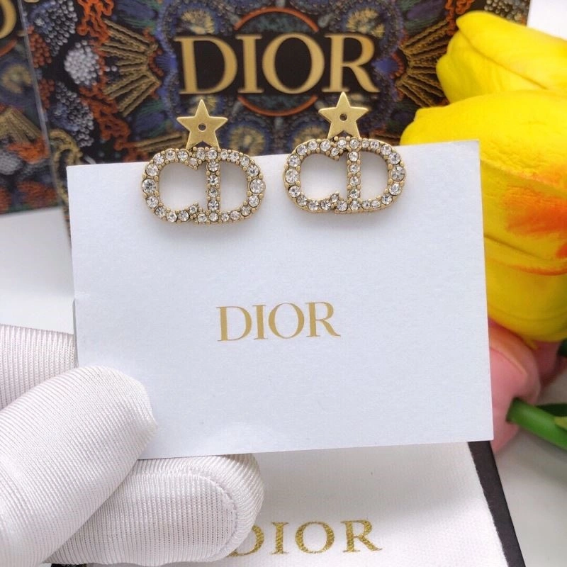 Christian Dior Earrings Breathable 233602