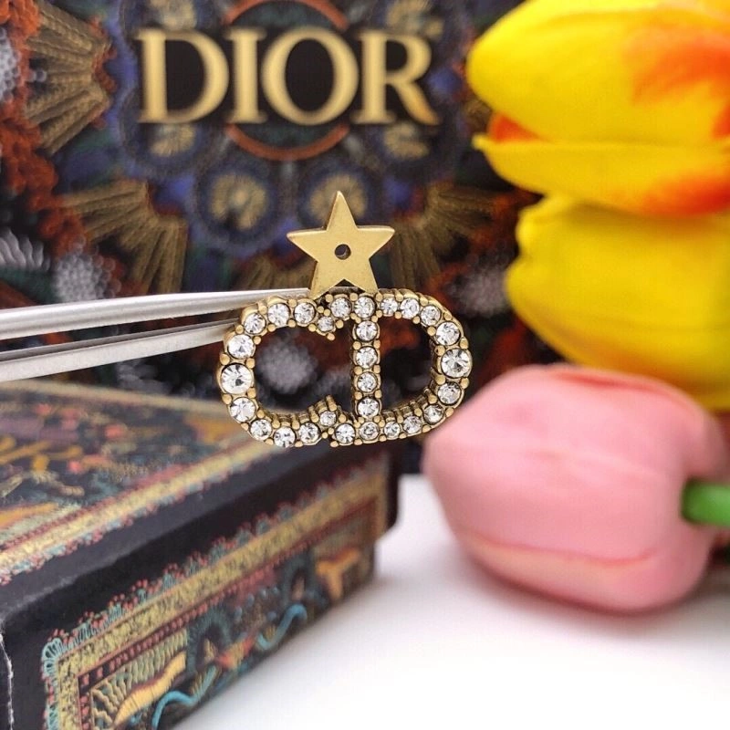 Christian Dior Earrings Breathable 233602