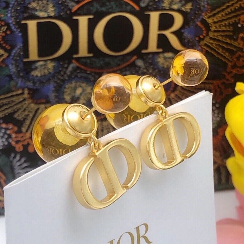 Christian Dior Earrings Functional 233608
