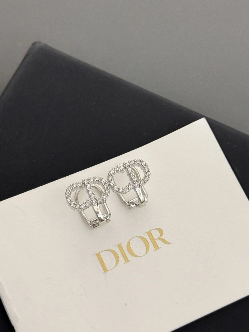 Lightweight Christian Dior Earrings 233603