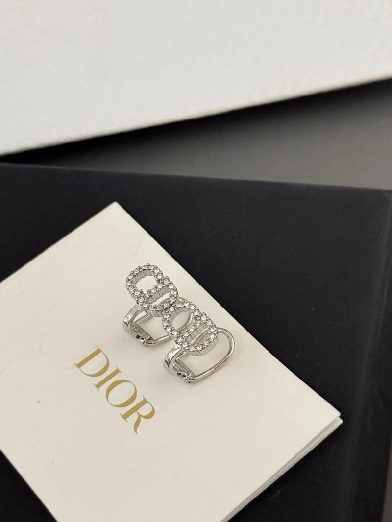 Lightweight Christian Dior Earrings 233603