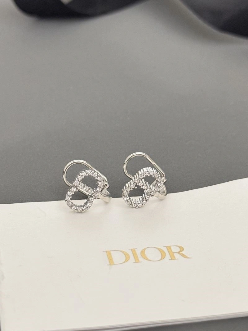 Lightweight Christian Dior Earrings 233603