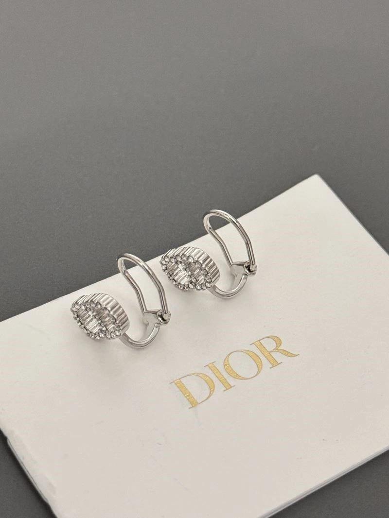 Lightweight Christian Dior Earrings 233603