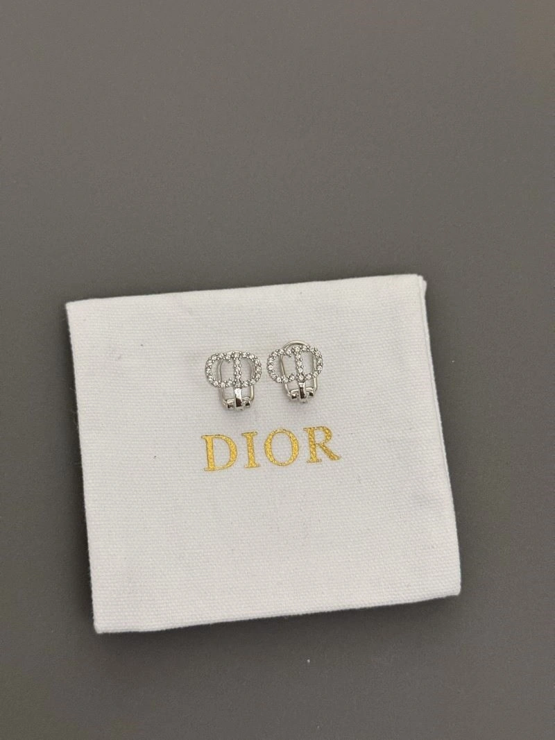 Lightweight Christian Dior Earrings 233603