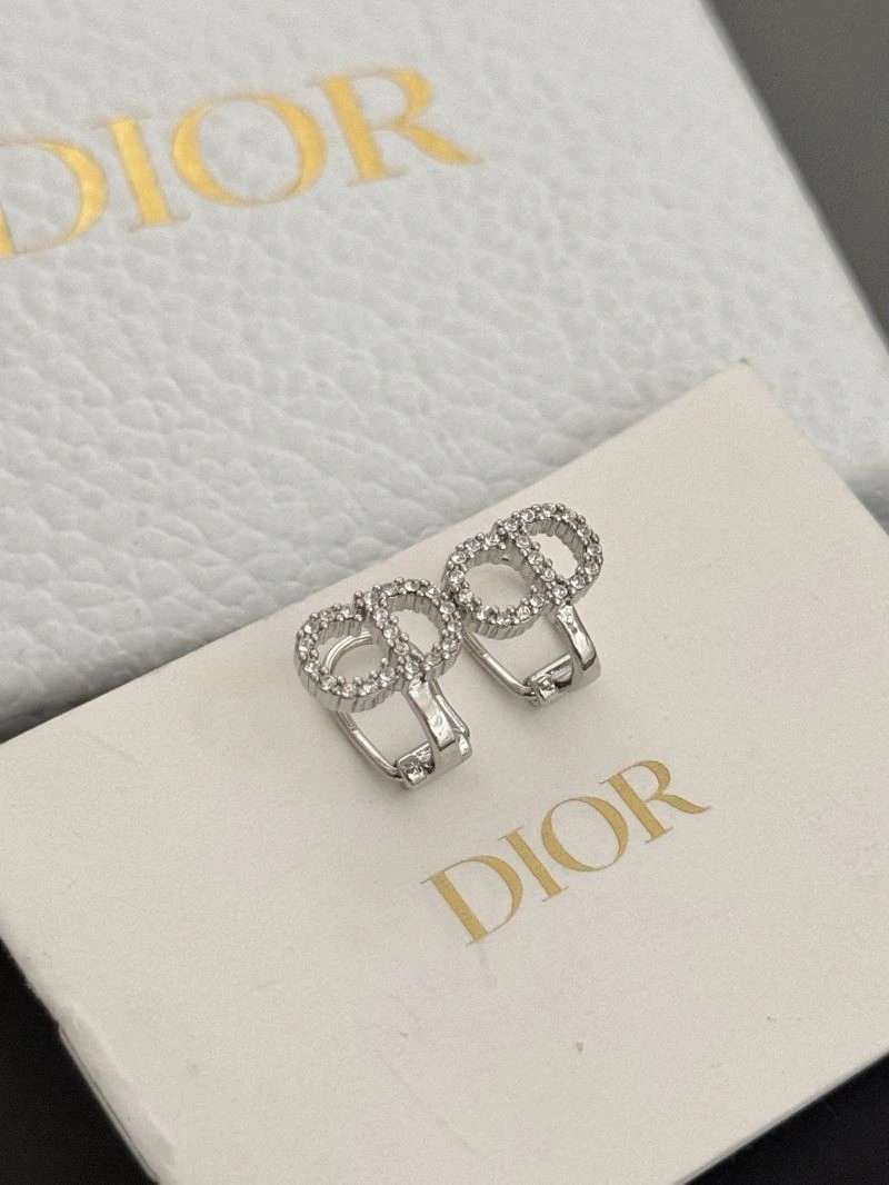 Lightweight Christian Dior Earrings 233603