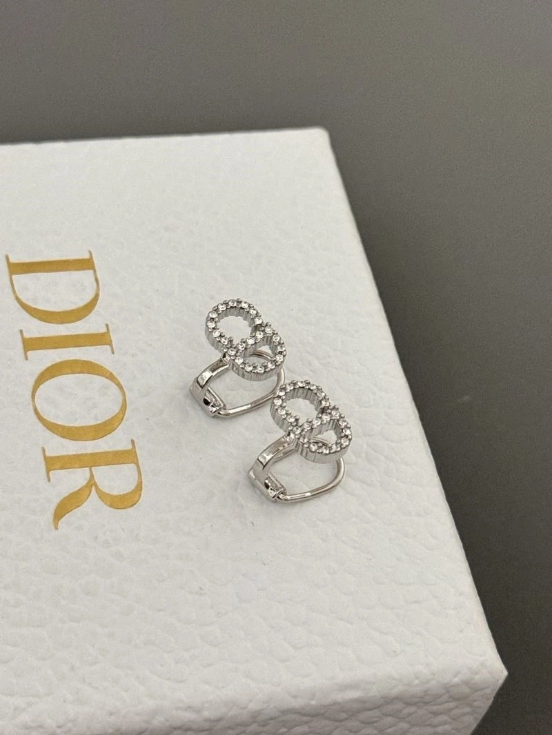 Lightweight Christian Dior Earrings 233603