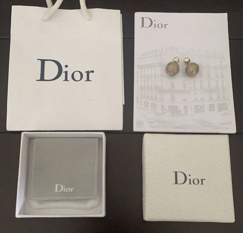 FastDry Christian Dior Earrings 233600