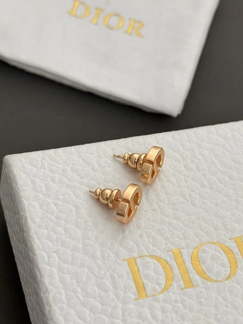 DailyWear Christian Dior Earrings 233571