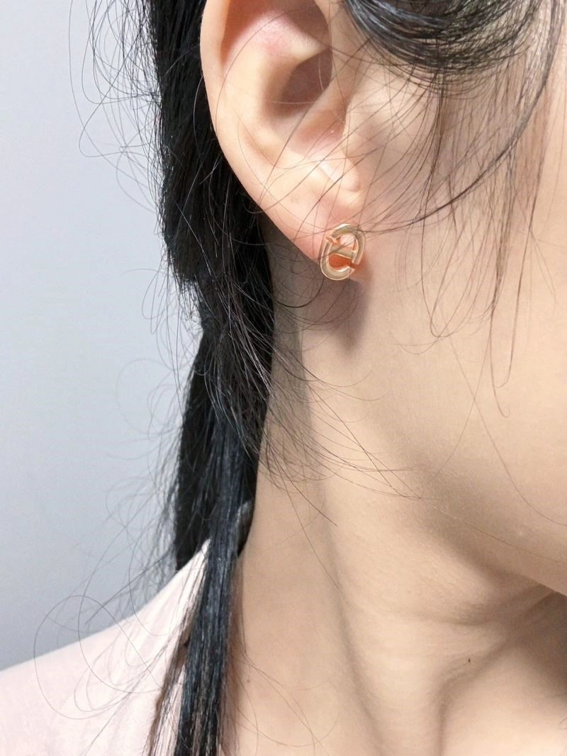 DailyWear Christian Dior Earrings 233571