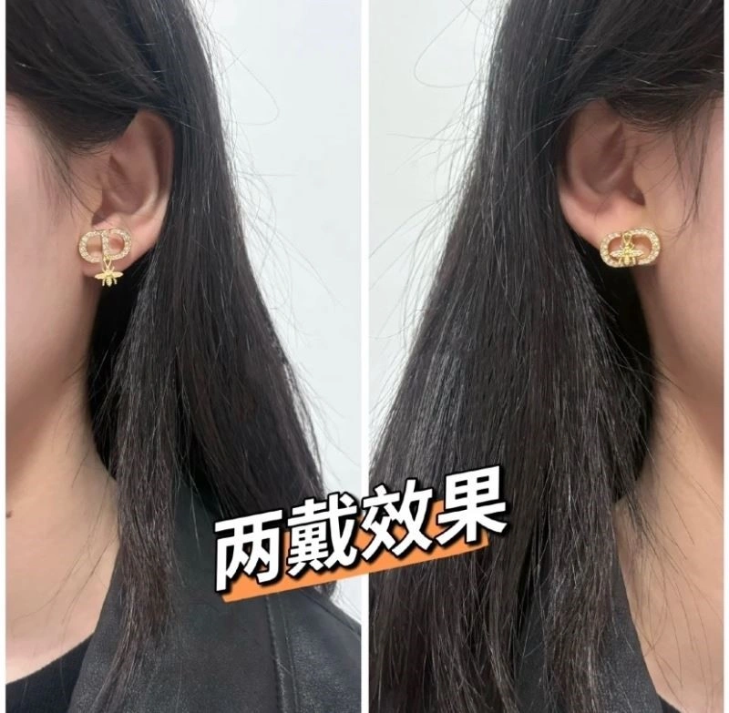 ZipUp Christian Dior Earrings 233592