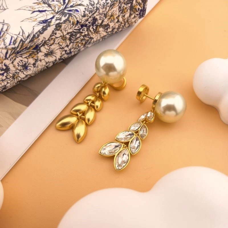 SmoothTexture Christian Dior Earrings 233569