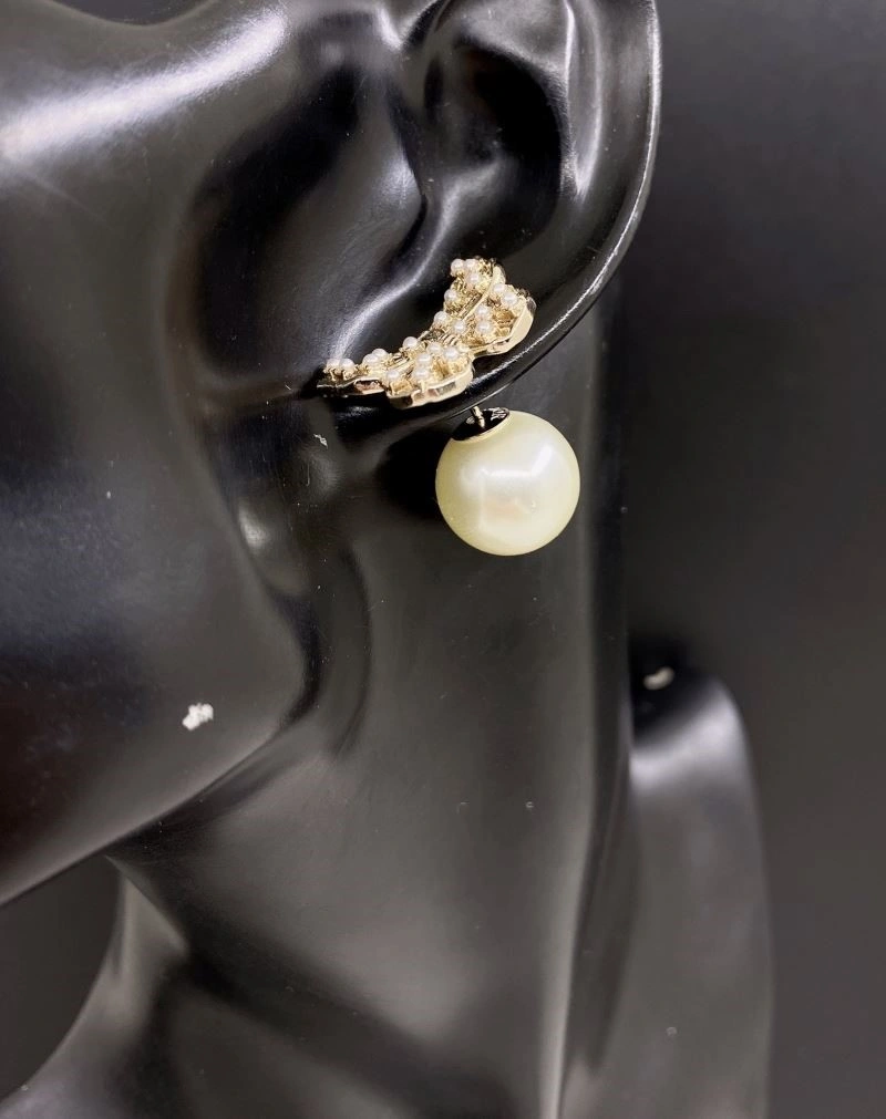 Christian Dior Earrings Affordable 233536