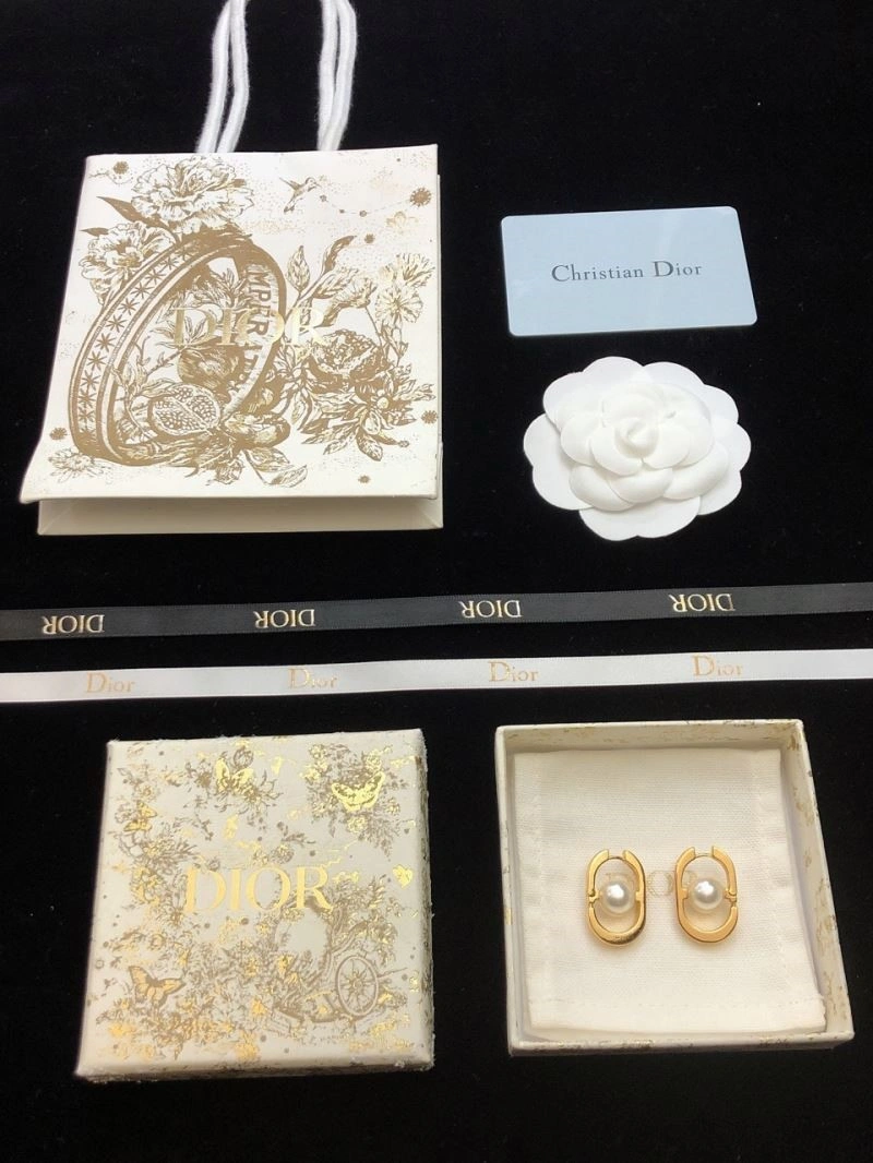 Christian Dior Earrings WaterResistant 233553