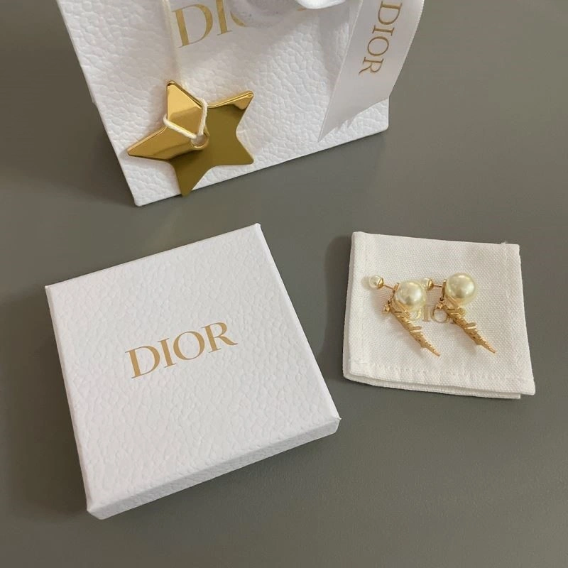 Christian Dior Earrings HighQuality 233550