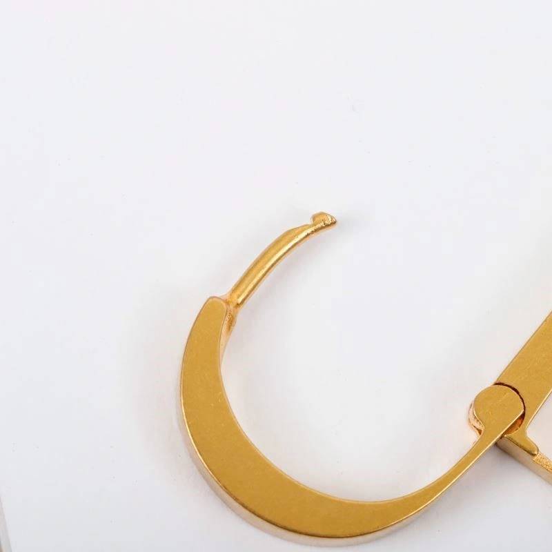 Christian Dior Earrings OdorResistant 233525