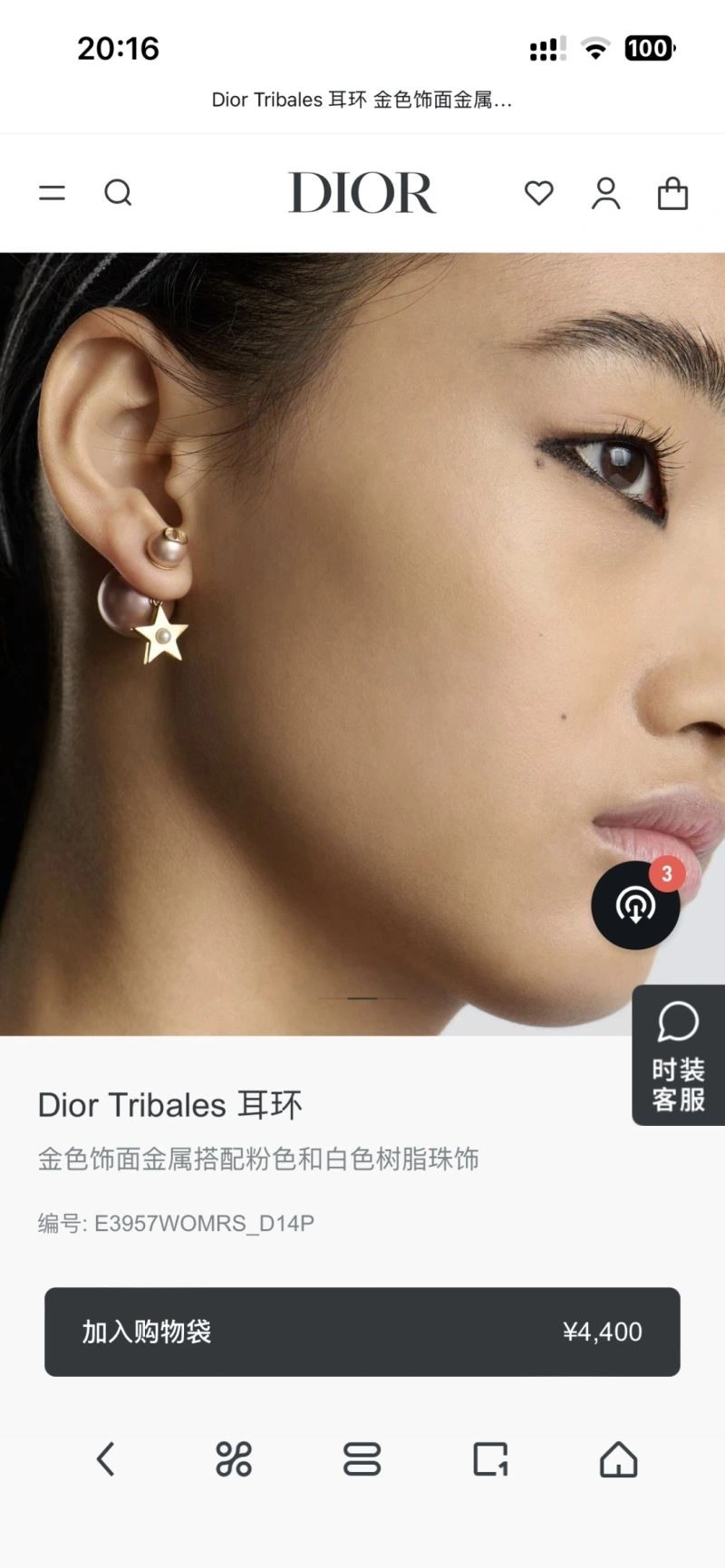 Christian Dior Earrings Sleek 233512
