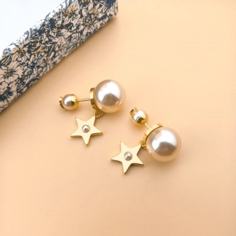 Christian Dior Earrings Sleek 233512