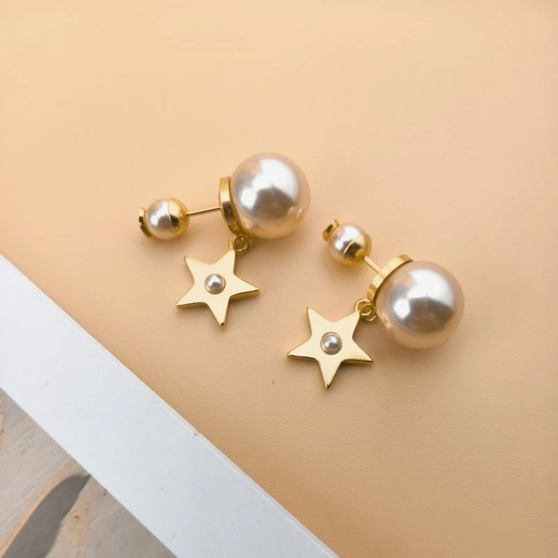 Christian Dior Earrings Sleek 233512