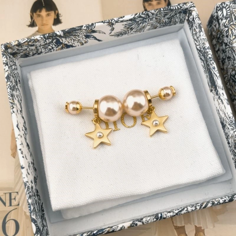 Christian Dior Earrings Sleek 233512