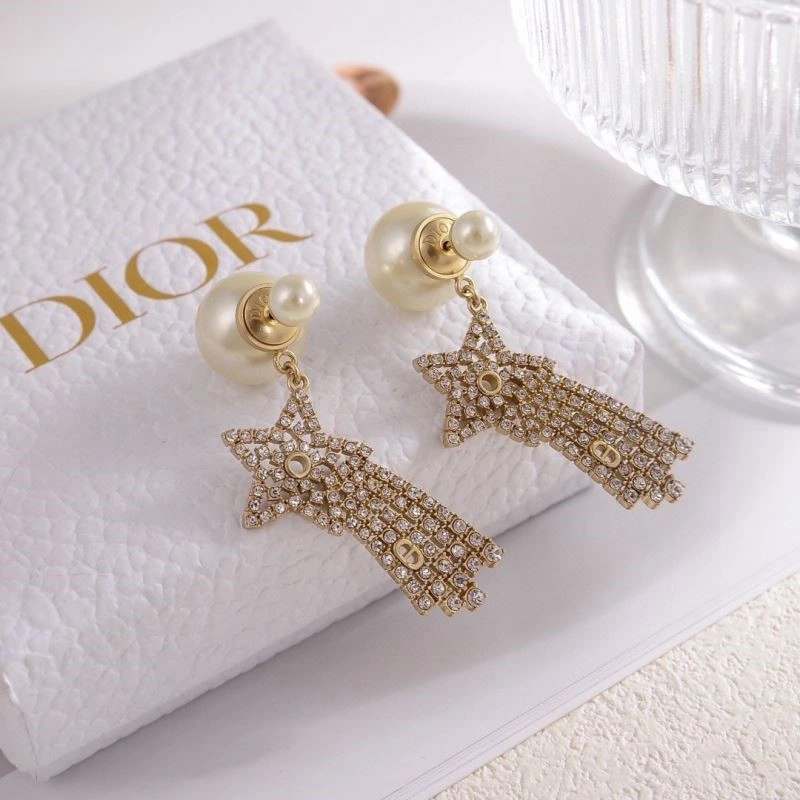 Colorful Christian Dior Earrings 233511