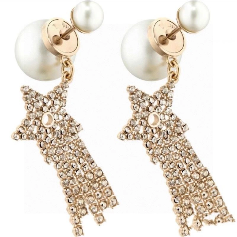 Colorful Christian Dior Earrings 233511