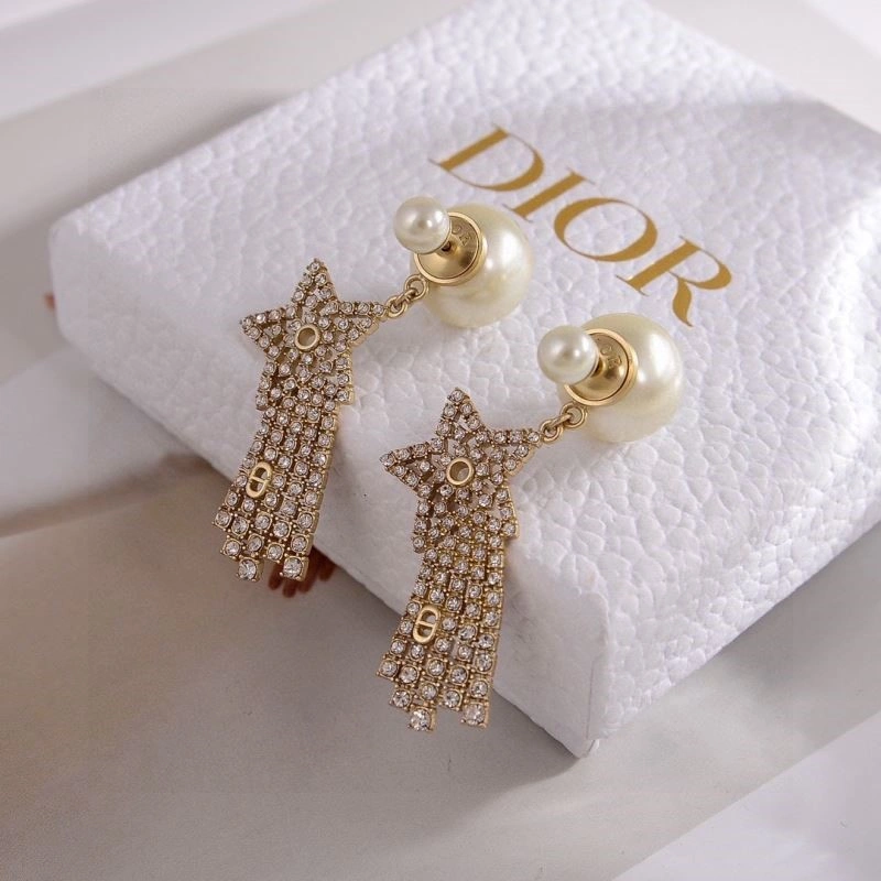 Colorful Christian Dior Earrings 233511