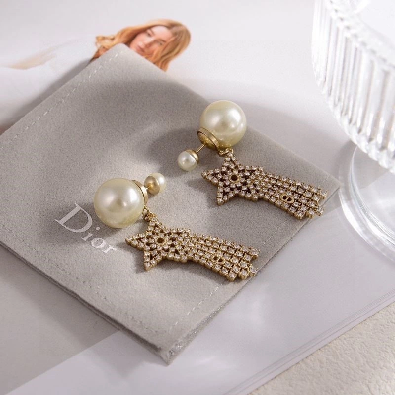 Colorful Christian Dior Earrings 233511