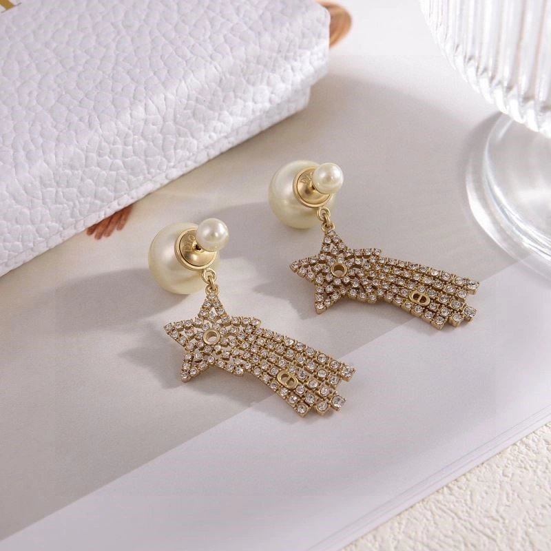 Colorful Christian Dior Earrings 233511