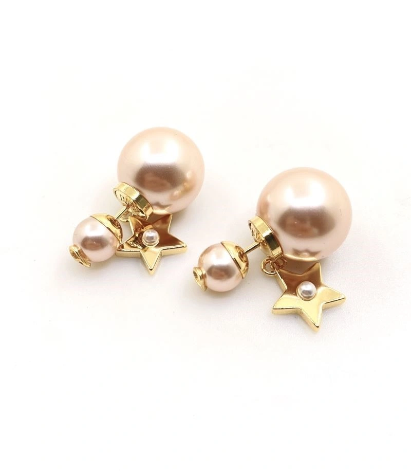 Christian Dior Earrings TravelReady 233514