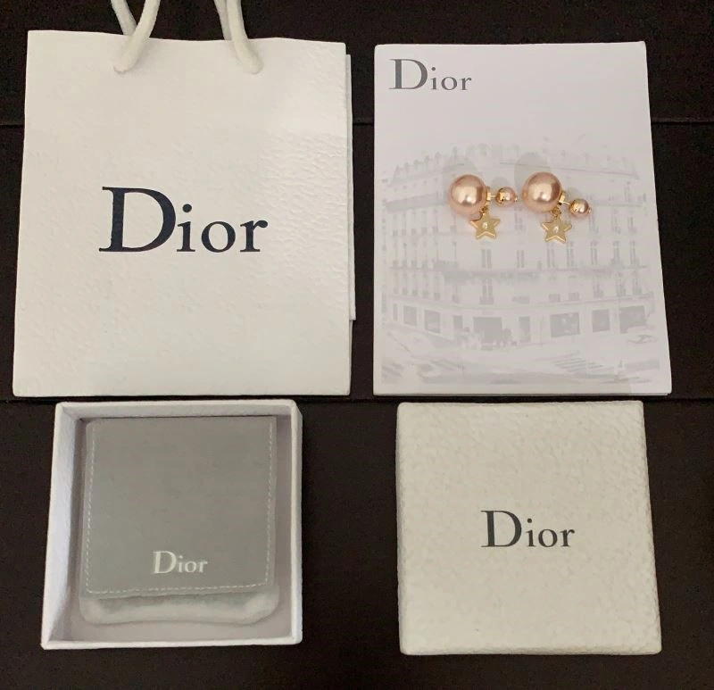 Christian Dior Earrings TravelReady 233514