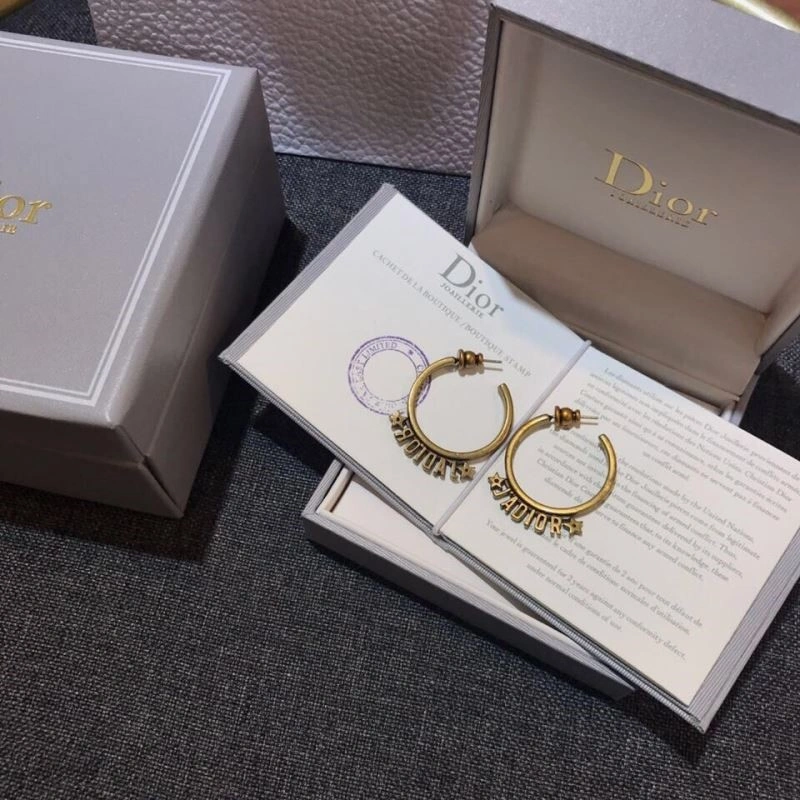 Seasonal Christian Dior Earrings 233513