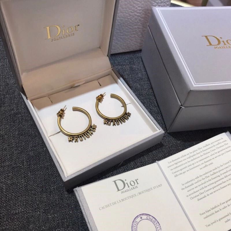 Seasonal Christian Dior Earrings 233513