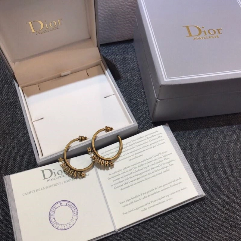 Seasonal Christian Dior Earrings 233513