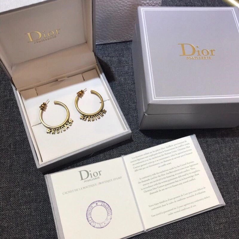 Seasonal Christian Dior Earrings 233513