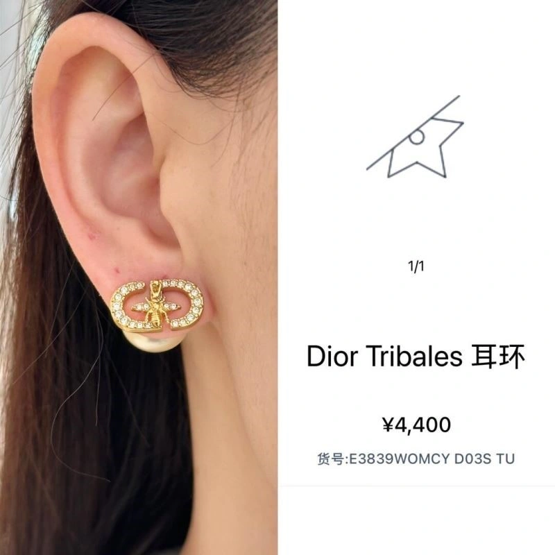 Christian Dior Earrings Casual 233527